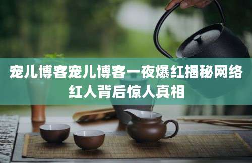 宠儿博客宠儿博客一夜爆红揭秘网络红人背后惊人真相