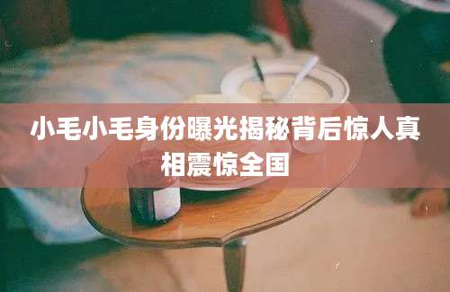 小毛小毛身份曝光揭秘背后惊人真相震惊全国