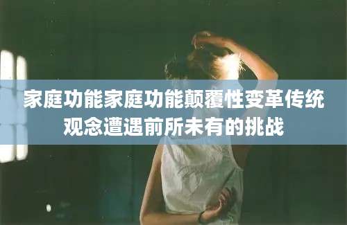 家庭功能家庭功能颠覆性变革传统观念遭遇前所未有的挑战