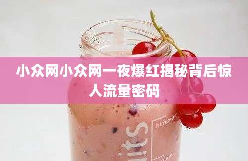 小众网小众网一夜爆红揭秘背后惊人流量密码