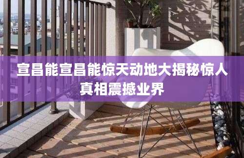 宣昌能宣昌能惊天动地大揭秘惊人真相震撼业界