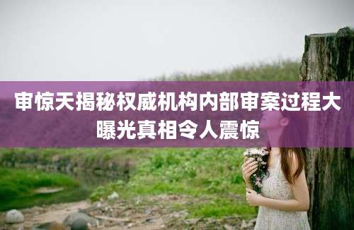 审惊天揭秘权威机构内部审案过程大曝光真相令人震惊