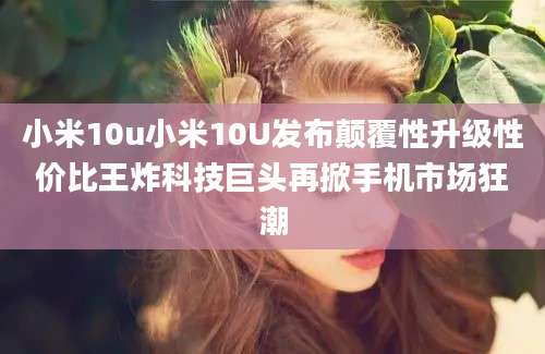 小米10u小米10U发布颠覆性升级性价比王炸科技巨头再掀手机市场狂潮
