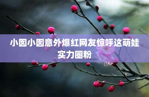 小囡小囡意外爆红网友惊呼这萌娃实力圈粉