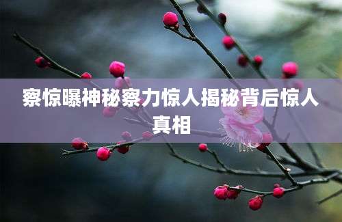 察惊曝神秘察力惊人揭秘背后惊人真相