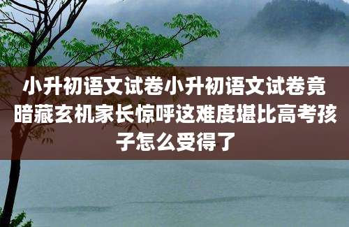 小升初语文试卷小升初语文试卷竟暗藏玄机家长惊呼这难度堪比高考孩子怎么受得了