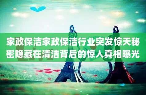家政保洁家政保洁行业突发惊天秘密隐藏在清洁背后的惊人真相曝光
