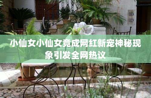 小仙女小仙女竟成网红新宠神秘现象引发全网热议