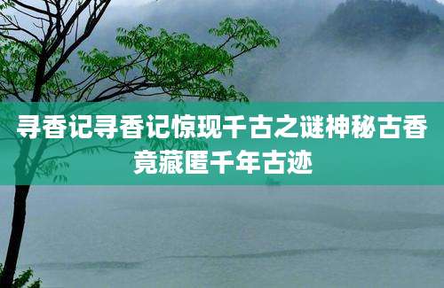 寻香记寻香记惊现千古之谜神秘古香竟藏匿千年古迹