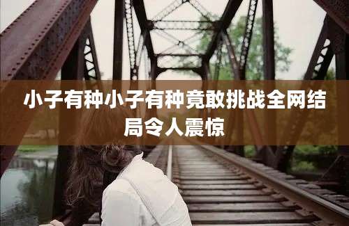 小子有种小子有种竟敢挑战全网结局令人震惊