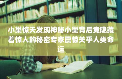 小巢惊天发现神秘小巢背后竟隐藏着惊人的秘密专家震惊关乎人类命运