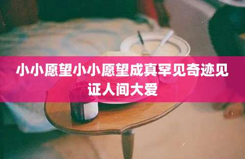 小小愿望小小愿望成真罕见奇迹见证人间大爱
