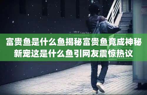 富贵鱼是什么鱼揭秘富贵鱼竟成神秘新宠这是什么鱼引网友震惊热议