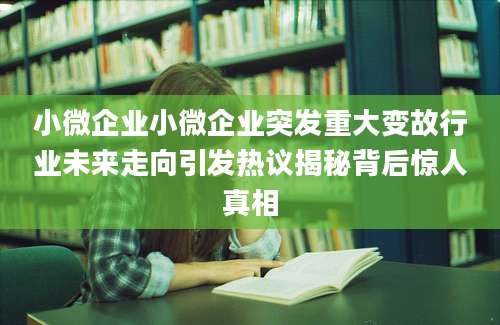 小微企业小微企业突发重大变故行业未来走向引发热议揭秘背后惊人真相