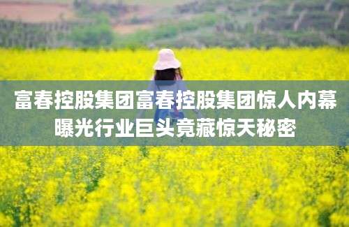 富春控股集团富春控股集团惊人内幕曝光行业巨头竟藏惊天秘密
