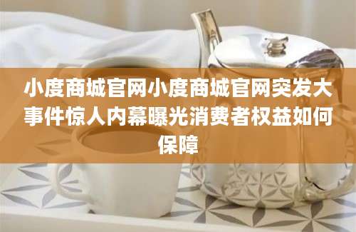 小度商城官网小度商城官网突发大事件惊人内幕曝光消费者权益如何保障