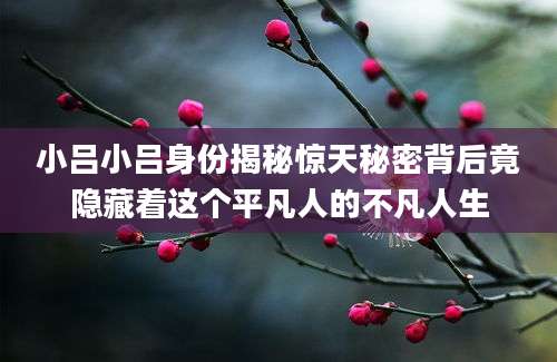 小吕小吕身份揭秘惊天秘密背后竟隐藏着这个平凡人的不凡人生