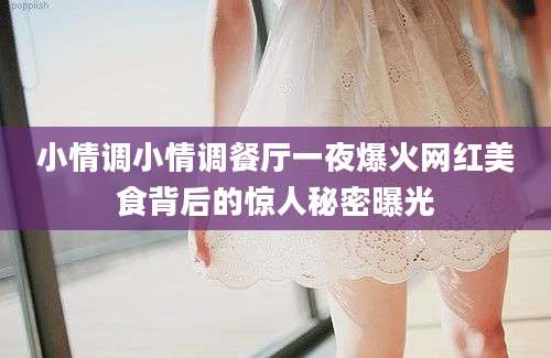 小情调小情调餐厅一夜爆火网红美食背后的惊人秘密曝光