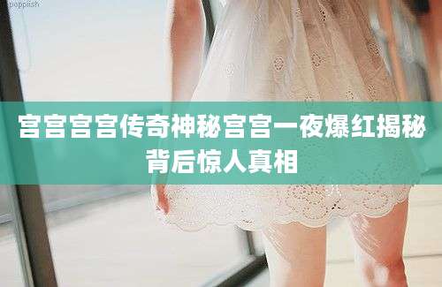 宫宫宫宫传奇神秘宫宫一夜爆红揭秘背后惊人真相