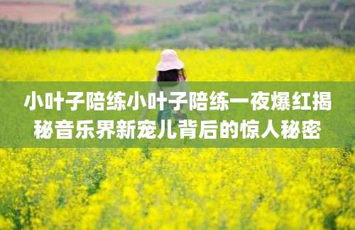 小叶子陪练小叶子陪练一夜爆红揭秘音乐界新宠儿背后的惊人秘密