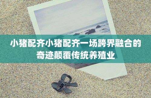 小猪配齐小猪配齐一场跨界融合的奇迹颠覆传统养殖业