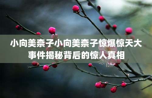 小向美柰子小向美柰子惊爆惊天大事件揭秘背后的惊人真相