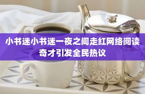 小书迷小书迷一夜之间走红网络阅读奇才引发全民热议