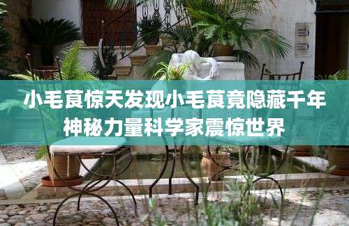 小毛茛惊天发现小毛茛竟隐藏千年神秘力量科学家震惊世界