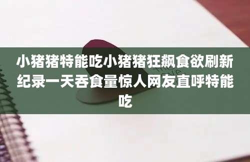 小猪猪特能吃小猪猪狂飙食欲刷新纪录一天吞食量惊人网友直呼特能吃
