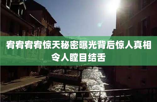 宥宥宥宥惊天秘密曝光背后惊人真相令人瞠目结舌