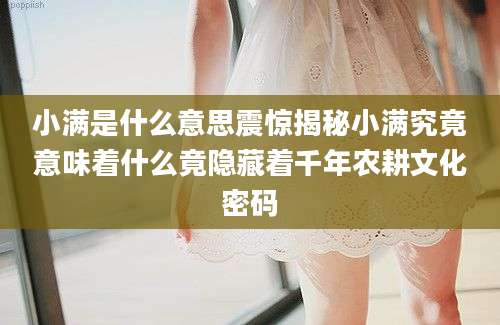 小满是什么意思震惊揭秘小满究竟意味着什么竟隐藏着千年农耕文化密码