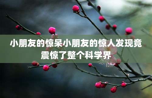 小朋友的惊呆小朋友的惊人发现竟震惊了整个科学界