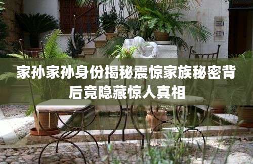 家孙家孙身份揭秘震惊家族秘密背后竟隐藏惊人真相