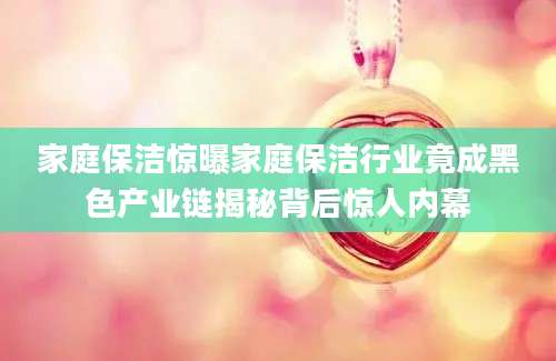 家庭保洁惊曝家庭保洁行业竟成黑色产业链揭秘背后惊人内幕