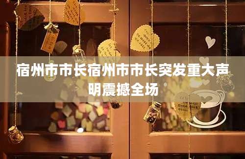 宿州市市长宿州市市长突发重大声明震撼全场