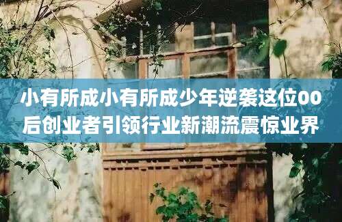 小有所成小有所成少年逆袭这位00后创业者引领行业新潮流震惊业界
