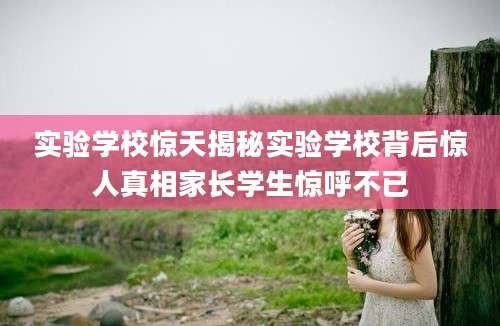实验学校惊天揭秘实验学校背后惊人真相家长学生惊呼不已