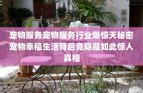 宠物服务宠物服务行业爆惊天秘密宠物幸福生活背后竟隐藏如此惊人真相