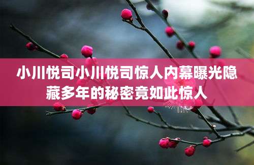 小川悦司小川悦司惊人内幕曝光隐藏多年的秘密竟如此惊人