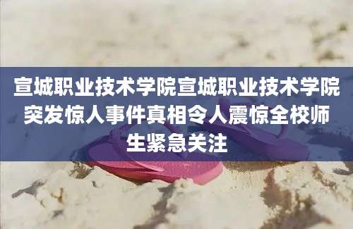 宣城职业技术学院宣城职业技术学院突发惊人事件真相令人震惊全校师生紧急关注