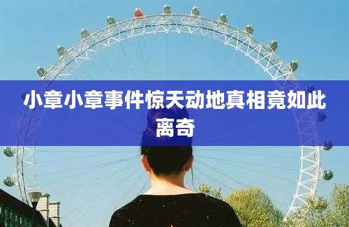 小章小章事件惊天动地真相竟如此离奇