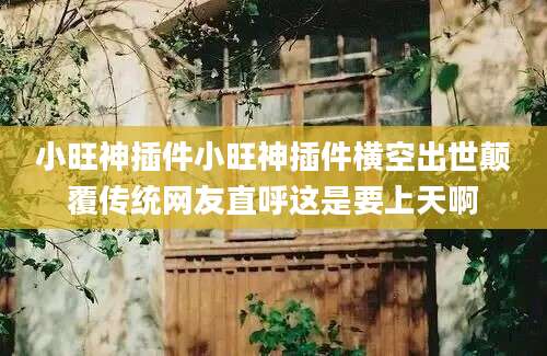 小旺神插件小旺神插件横空出世颠覆传统网友直呼这是要上天啊
