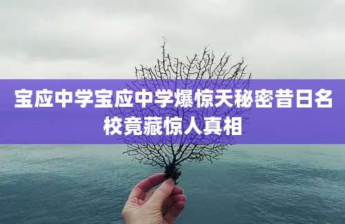 宝应中学宝应中学爆惊天秘密昔日名校竟藏惊人真相