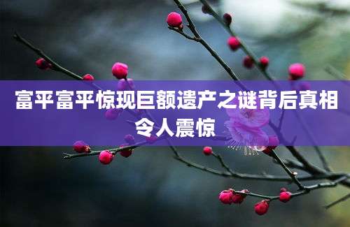 富平富平惊现巨额遗产之谜背后真相令人震惊