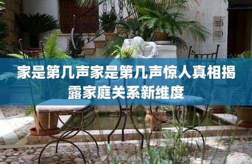 家是第几声家是第几声惊人真相揭露家庭关系新维度