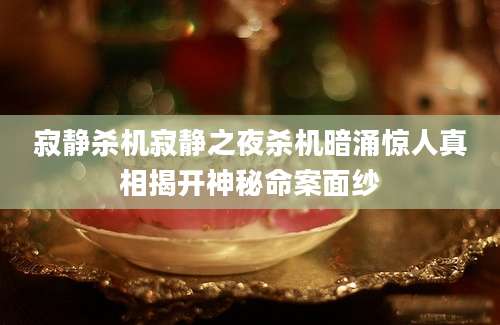 寂静杀机寂静之夜杀机暗涌惊人真相揭开神秘命案面纱