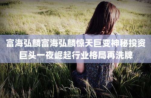 富海弘麟富海弘麟惊天巨变神秘投资巨头一夜崛起行业格局再洗牌