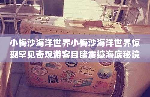 小梅沙海洋世界小梅沙海洋世界惊现罕见奇观游客目睹震撼海底秘境