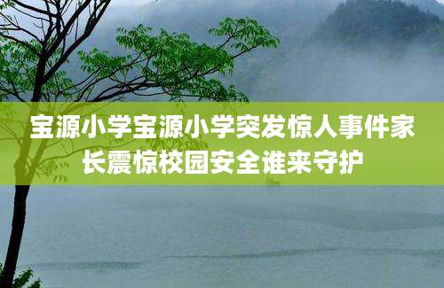 宝源小学宝源小学突发惊人事件家长震惊校园安全谁来守护