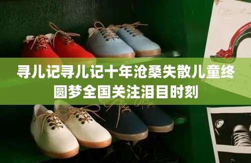 寻儿记寻儿记十年沧桑失散儿童终圆梦全国关注泪目时刻